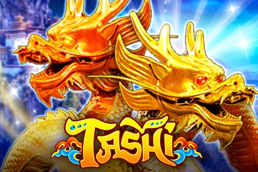 09041 tashi