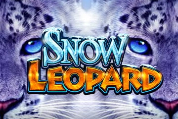 13144 snow leopard