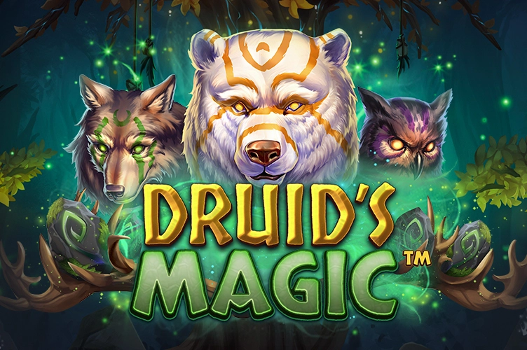 14675 druids magic